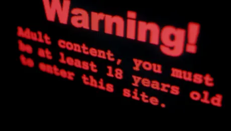 Realizatorii de site-uri pornografice vor fi obligati sa verifice varsta utilizatorilor