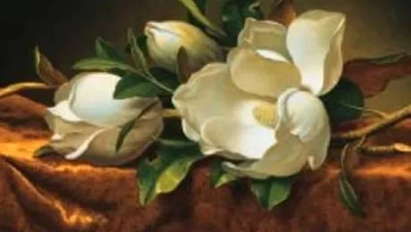 A dat norocul peste ei, din greseala!