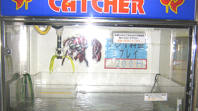 Raci vii la automat de schimb