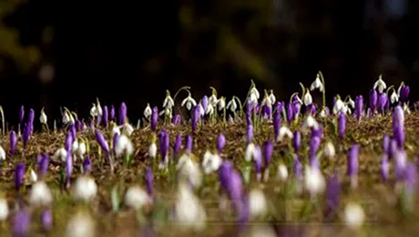 Prognoza meteo pentru vineri, 27 februarie 2015