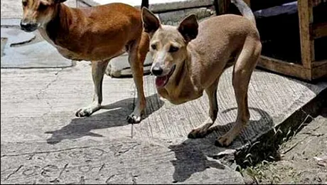 Cele mai tari fotografii neprelucrate