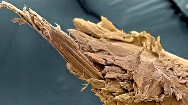 varf de par despicat