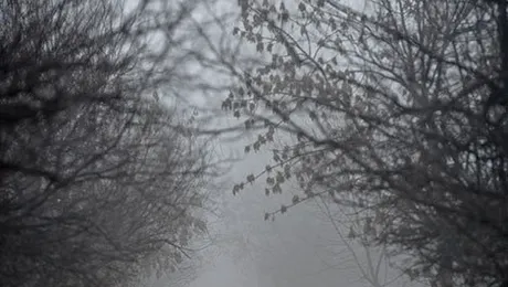 Prognoza meteo pentru vineri, 12 decembrie 2014