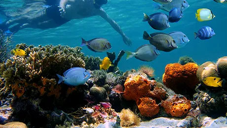 Cum va fi vremea până pe 31 august 2014