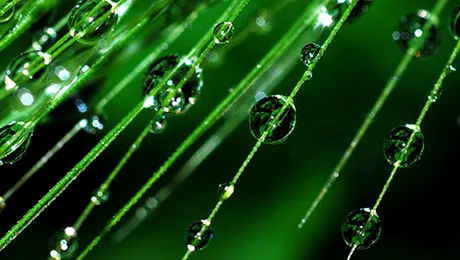 Vremea.Apropotv.ro: Prognoza meteo pentru vineri, 24 octombrie 2014