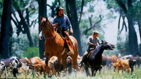Pasiuni şi fantezie