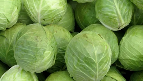 6 beneficii ale verzei