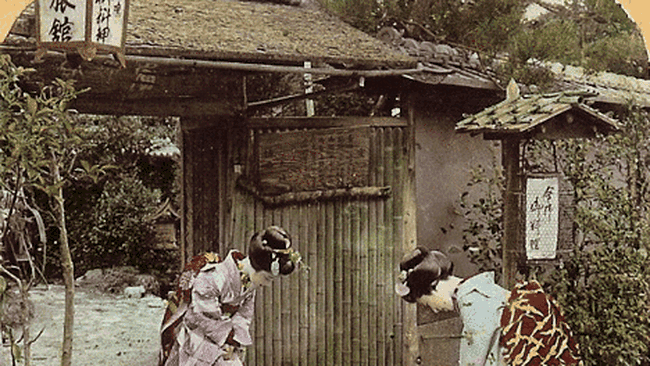 imagine stereoscopica