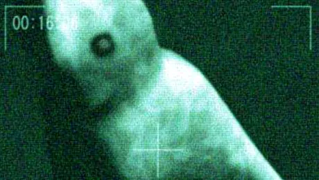 Ningen, creatura adâncurilor! Legendă sau adevăr? (Poze)