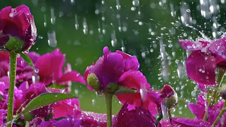 Vremea.Apropo.ro: Prognoza meteo pentru joi, 15 mai 2014