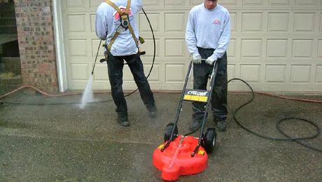 Detinerea de caini si spalatul trotuarelor, in atentia edililor bucuresteni!