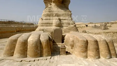 MAE ne sfatuieste sa nu vanam crocodili in Egipt