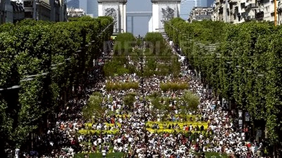 Champs Elysees a fost invadat de vaci si de lanuri de grau! (video)