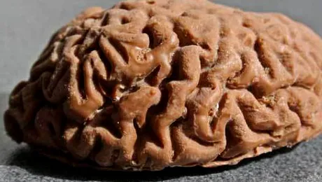 Un britanic și-a mâncat propriul creier (Video)