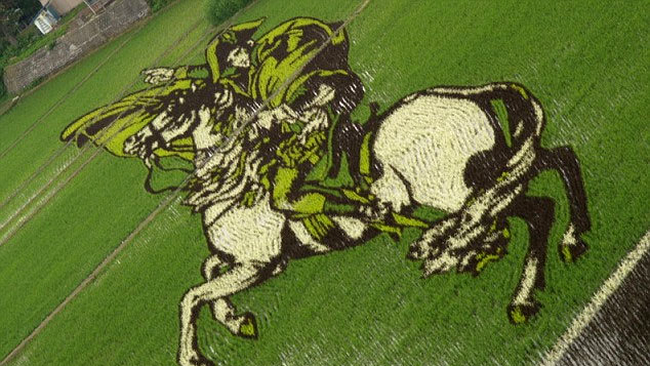 Opera de arta pe plantatia de orez