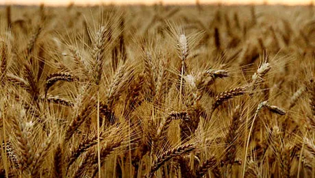 Vine războiul? Iranul achiziționează cereale, în ritm accelerat