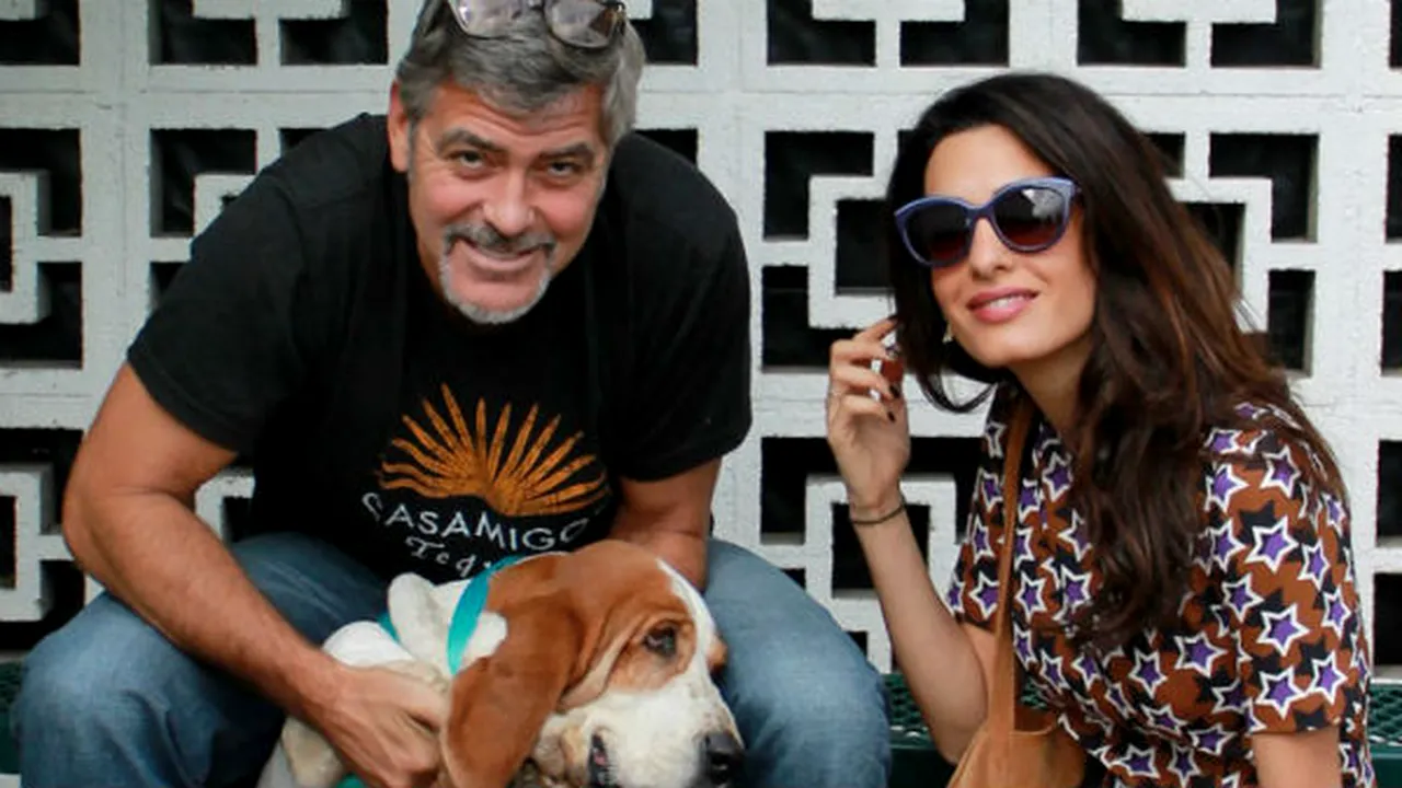 1-clooney-1 