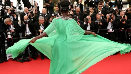 Selfie-urile au fost interzise la Cannes 2015!