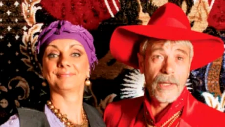 Gheorghe Visu, internat de urgenta