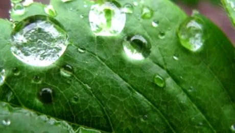 NASA a descoperit ce formă au de fapt picăturile de ploaie