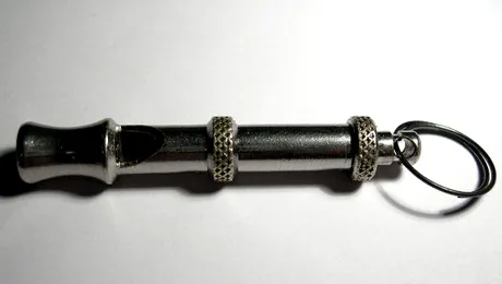 Care a fost primul instrument muzical?