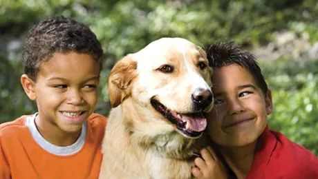 Câinii au puteri vindecătoare